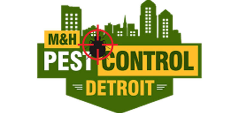 M&H Pest Control Detroit: Setting the Standard for Pest Management in Detroit