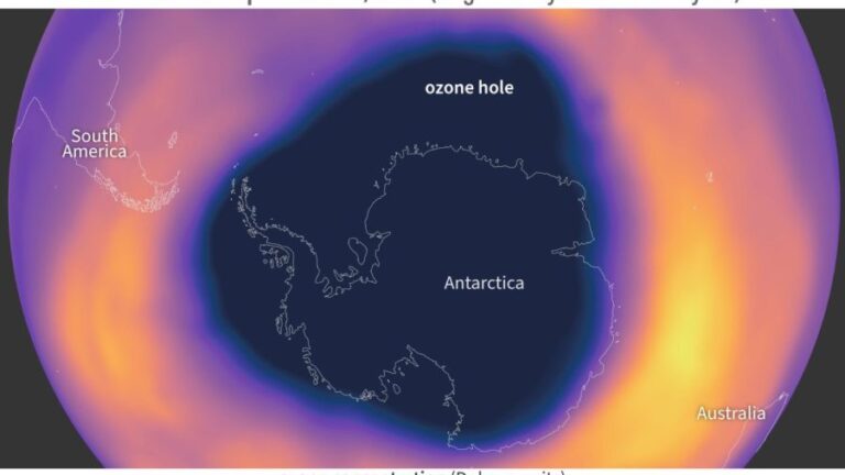 ozone2024 e1730810856667