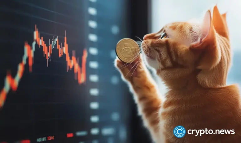 crypto news Catslap option03