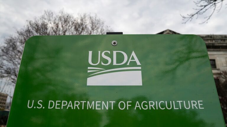 usda 032825gn10 w